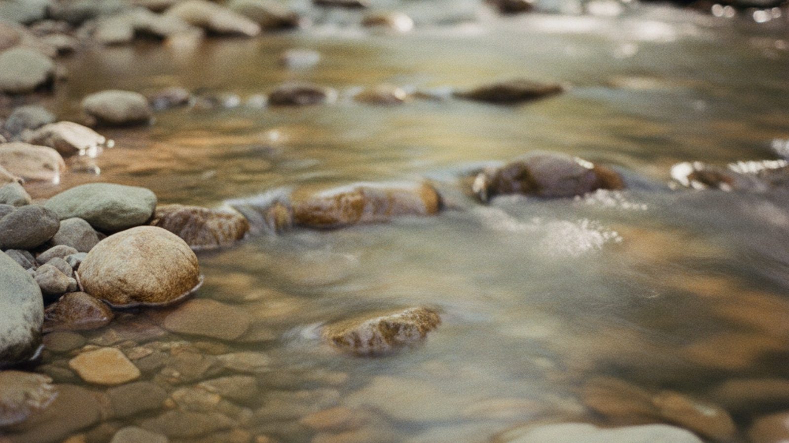 Gentle flowing water over smooth stones in warm daylight