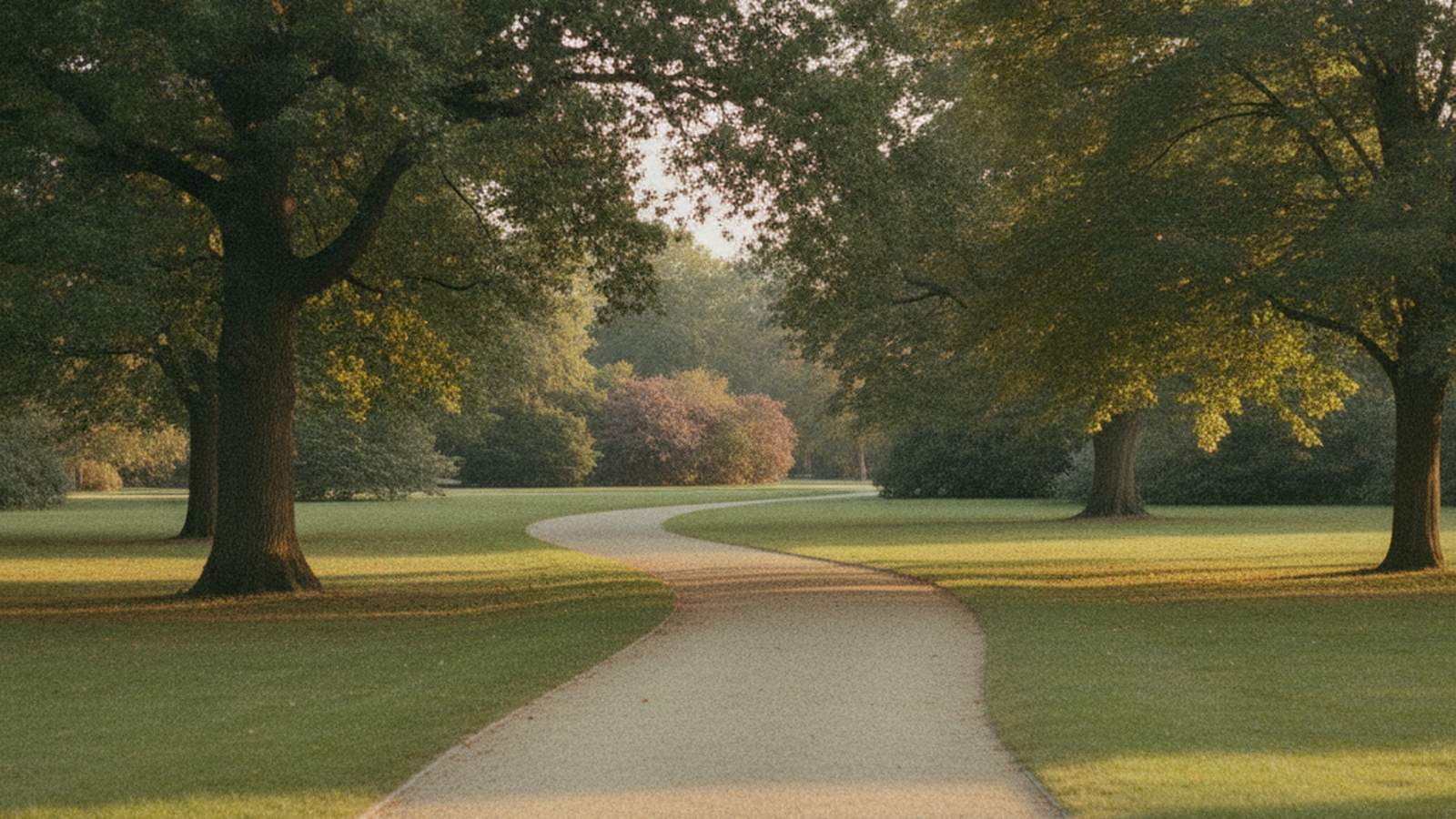 Sunlit path through a park with dappled light on the ground