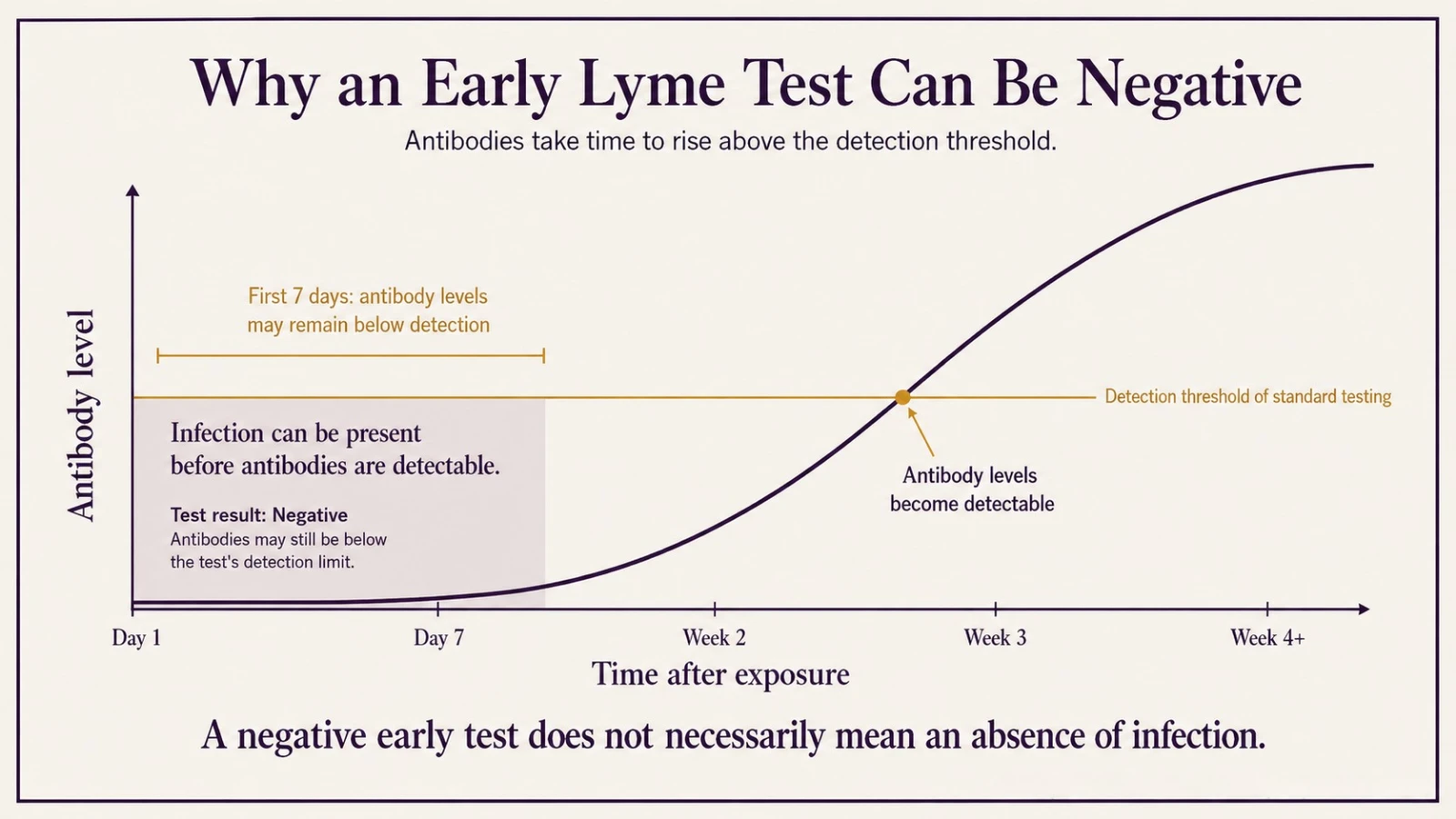Diagram showing antibody levels rising over weeks against the detection threshold of standard testing