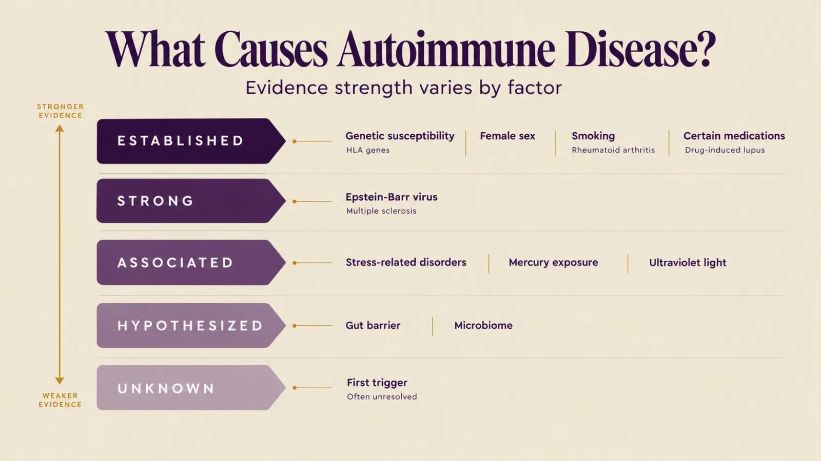 Chart ranking what causes autoimmune disease by evidence strength, from established triggers to open questions