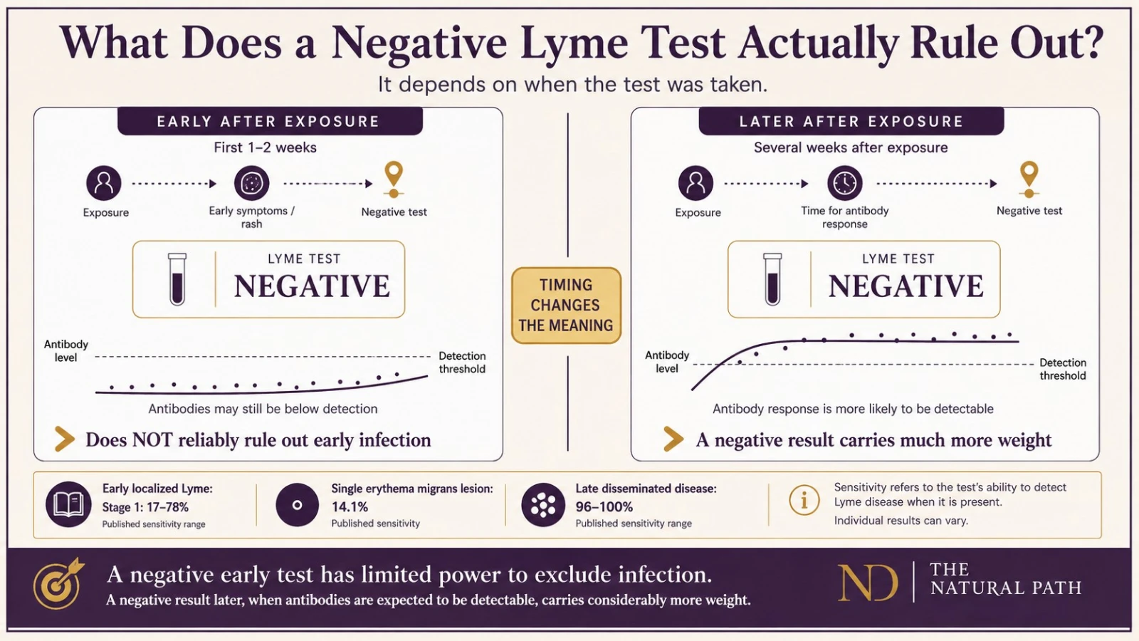 Comparison showing what a negative Lyme test rules out early versus late after exposure