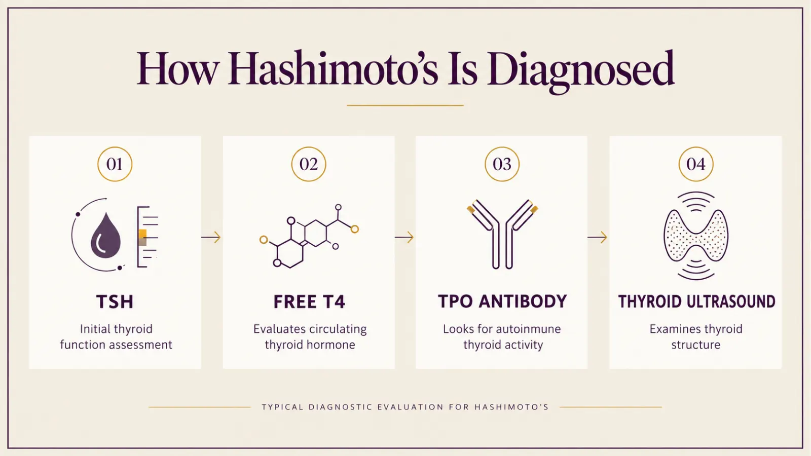 Diagram of how Hashimoto's is diagnosed, showing the usual order of TSH, free T4, TPO antibody and thyroid ultrasound testing