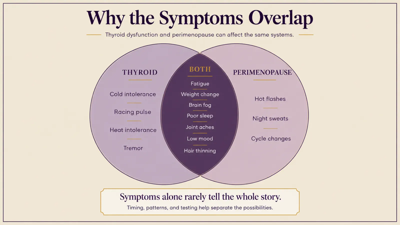 Two overlapping circles showing which symptoms belong to thyroid dysfunction, which to perimenopause, and which to both