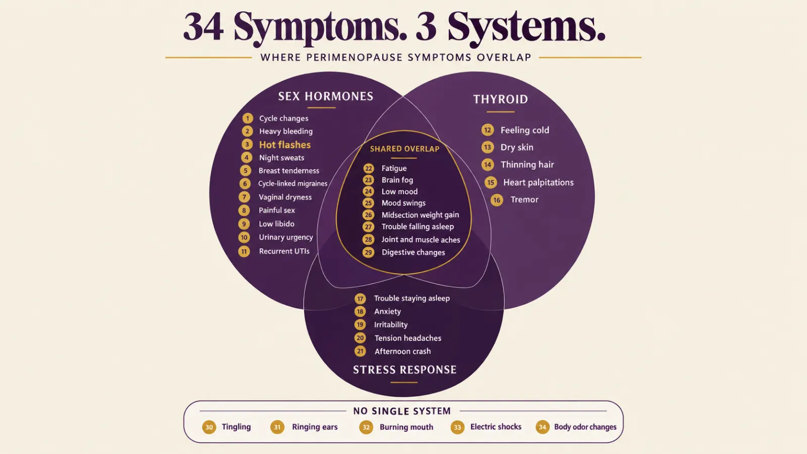 Diagram sorting the 34 symptoms of perimenopause into sex hormone, thyroid and stress response systems, with a shared overlap in the center