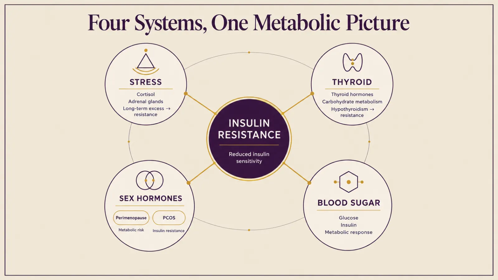 Diagram of four hormone systems, stress, thyroid, sex hormones and blood sugar, connected around insulin resistance in women