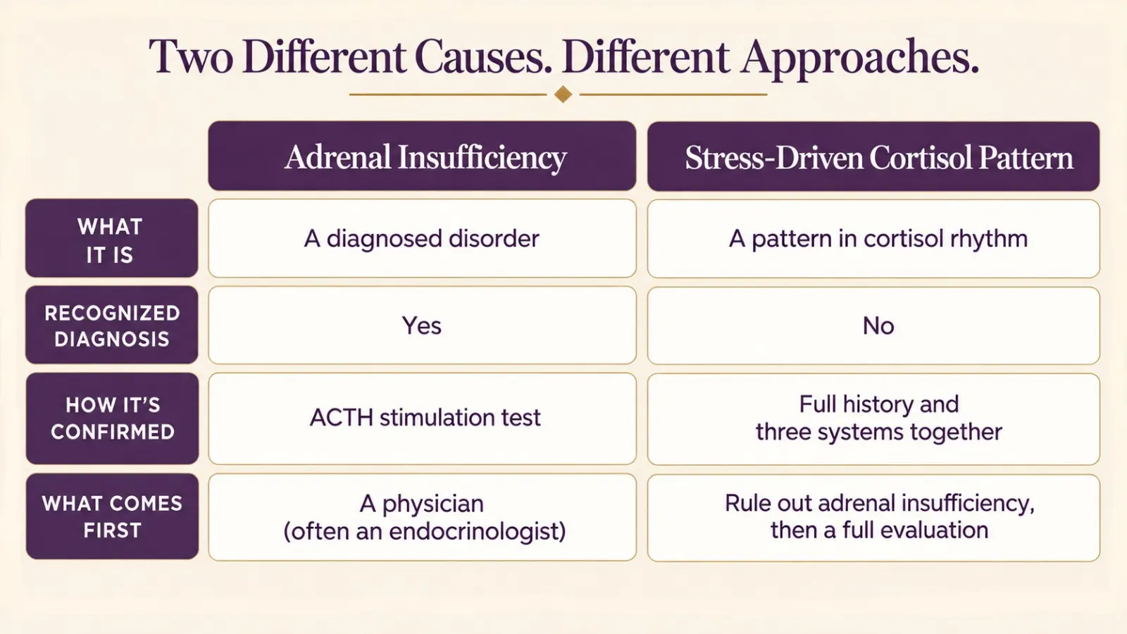 Two columns comparing medical adrenal insufficiency with a stress-driven cortisol pattern in women